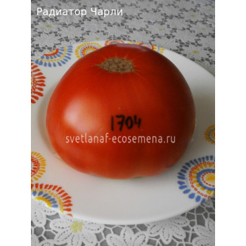 Радиатор Чарли