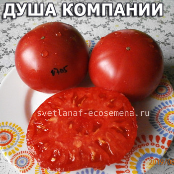 Душа компании
