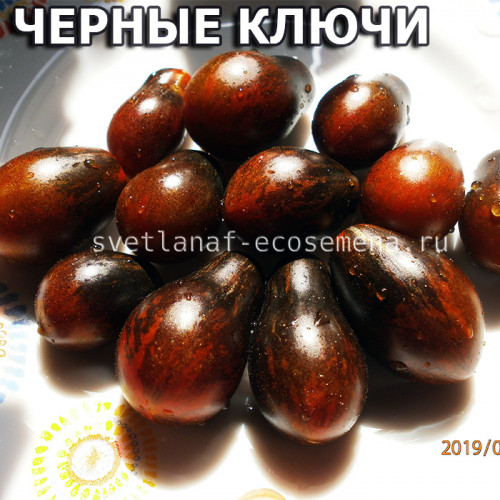Black Keyes (Черные ключи)