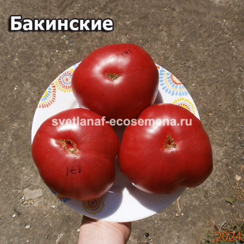 Бакинские (Bakinskie)