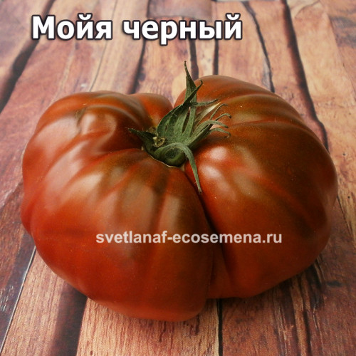 Moya Noire (Мойя Черный)