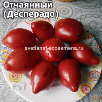Desperado Dwarf (десперадо)