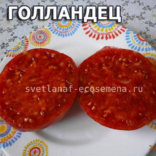 The Dutchman (Голландец)