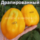 drapee (Драпированный)