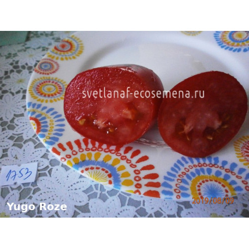 Yugo Roze (Юго роуз)