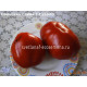 Aunt Swarlo’s Polish Plum (Польская слива т. Сварло)