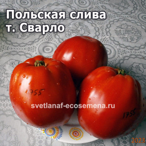 Aunt Swarlo’s Polish Plum (Польская слива т. Сварло)