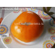 семена томата Maylor Roth’s Orange (Апельсин Майлора рота)