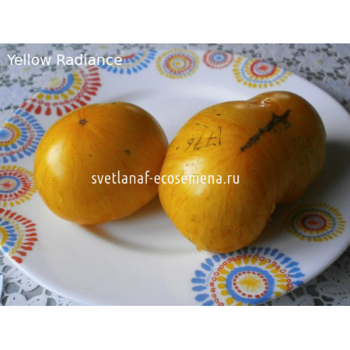 Yellow Radiance (Желтое сияние)
