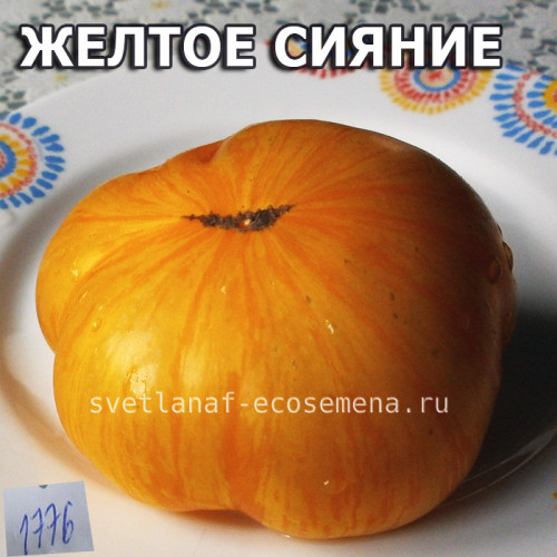Yellow Radiance (Желтое сияние)