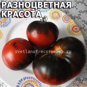 Kaleidoscopic Jawel (Разноцветная красота)