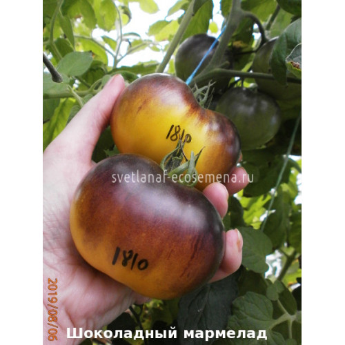Шоколадный мармелад