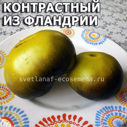 Flanders contrast (Контрастный из Фландрии)