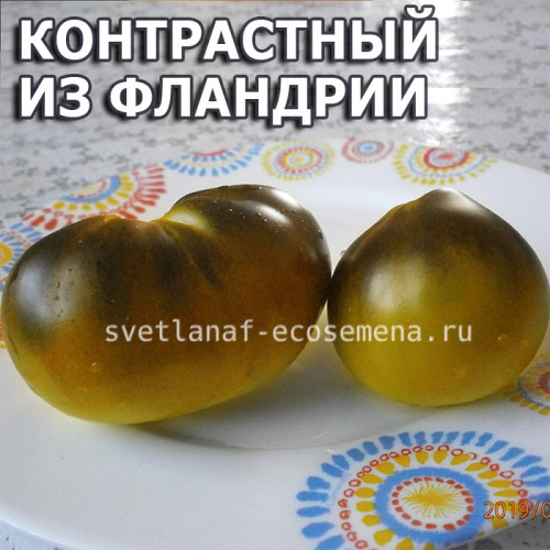 Flanders contrast (Контрастный из Фландрии)