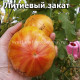 Lithium Sunset (Литиевый закат)