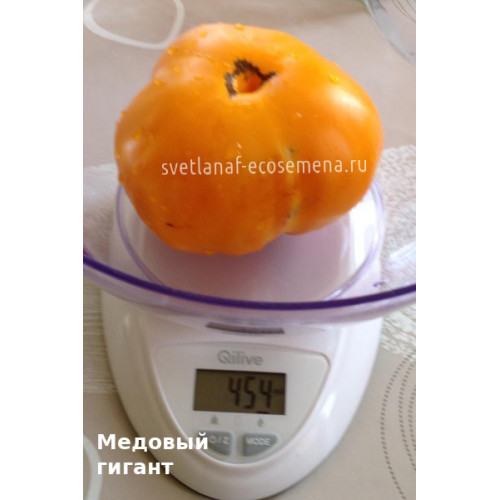 Медовый гигант
