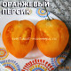 Оранжевый персик из Риги