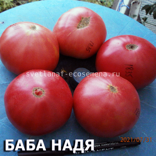 БАБА НАДЯ