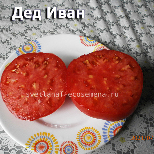 Дед Иван