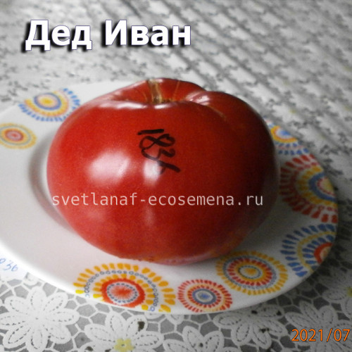 Дед Иван