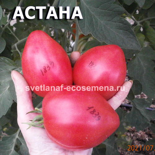 АСТАНА