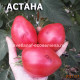 АСТАНА