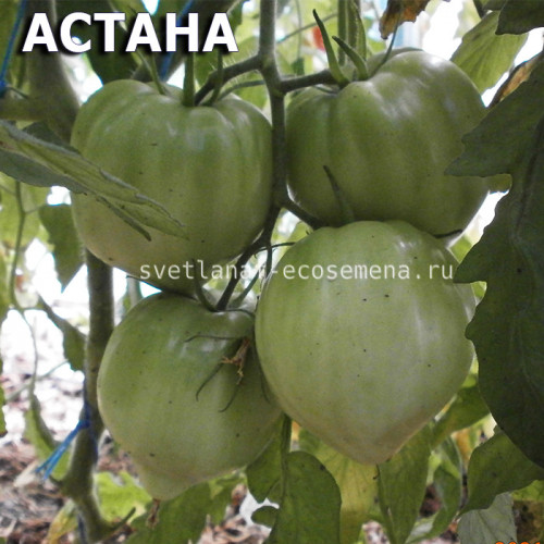 АСТАНА