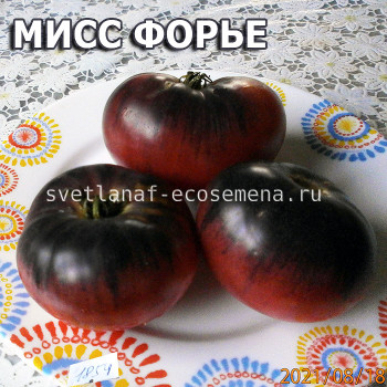 Mlle Foriers Мисс Форье