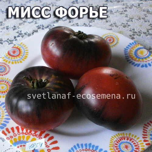 Mlle Foriers Мисс Форье