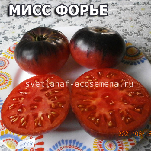Mlle Foriers Мисс Форье