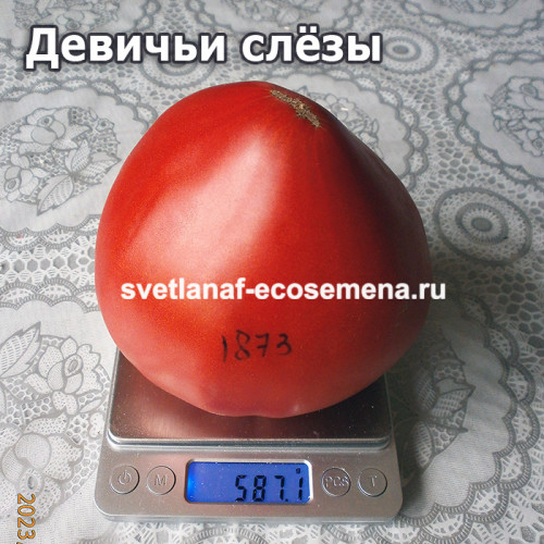 Момини сълзи