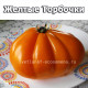 Желтые Торбочки