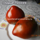 Linnaeus heart (Линнея сердце)