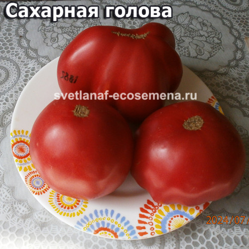 Сахарная голова