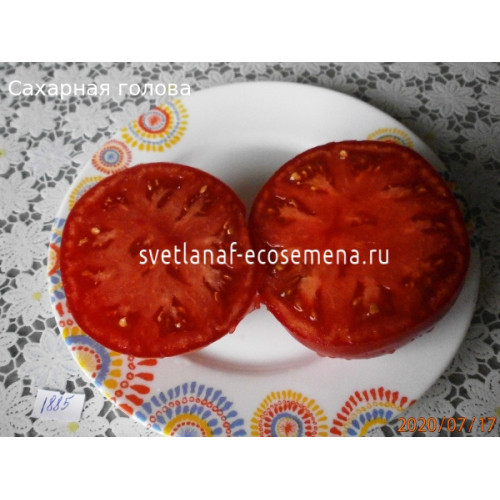 Сахарная голова