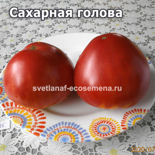 Сахарная голова