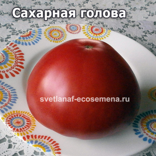 Сахарная голова