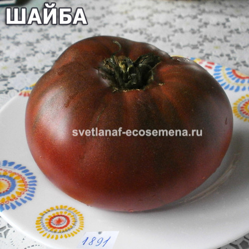 Шайба