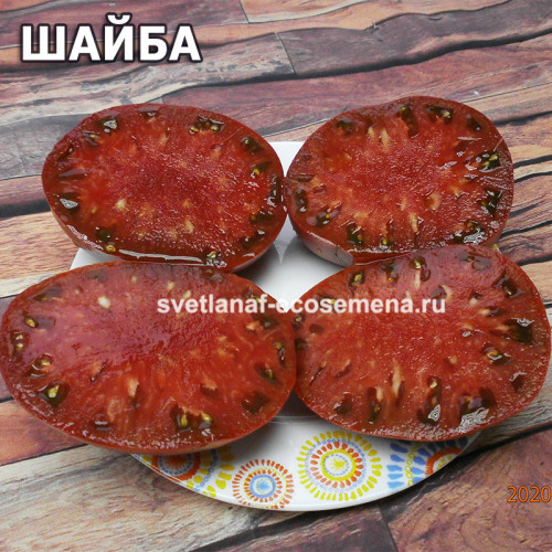 Шайба