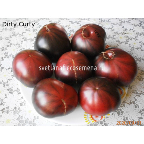 Dirty Curty (Грязный Курта)