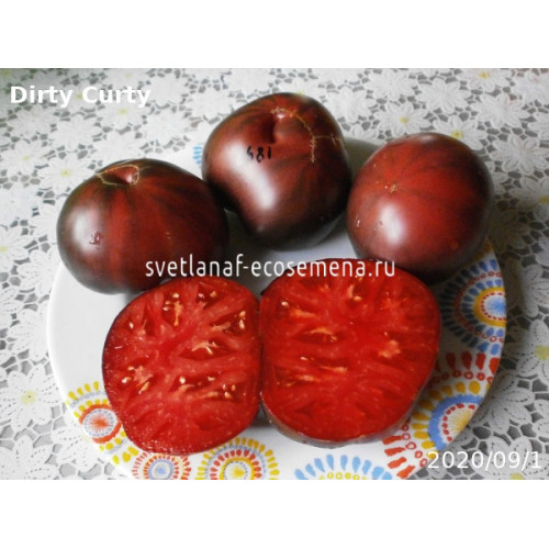 Dirty Curty (Грязный Курта)