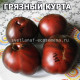 Dirty Curty (Грязный Курта)