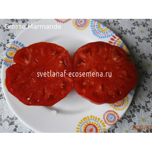 Grosse Marmande (Большой марманд)