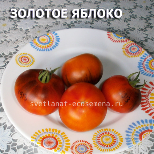 золотое яблоко
