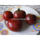 Dwarf Mary’s Cherry (Вишня Мэри)