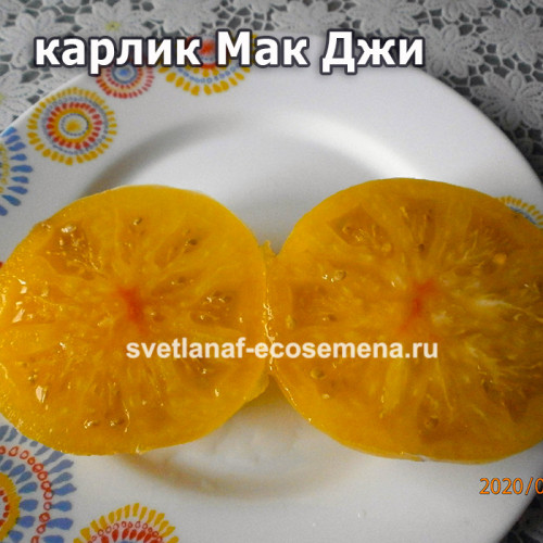 Dwarf CC McGee (мак джи)