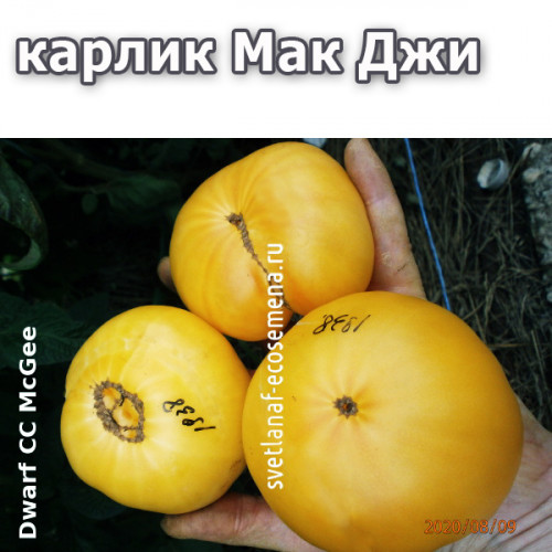 Dwarf CC McGee (мак джи)