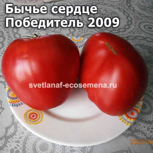 Бычье сердце Победитель 2009