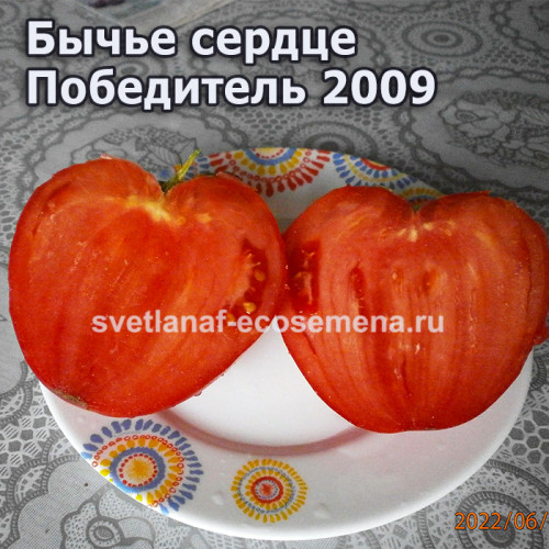 Бычье сердце Победитель 2009