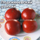 Подсинеевский ранний